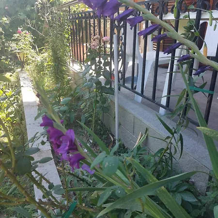 Appartement Mεζονέτα Γεωπονικών